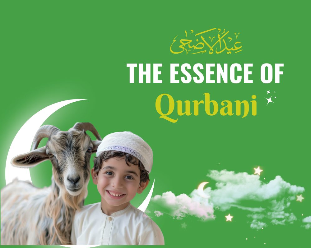 The Essence of Qurbani